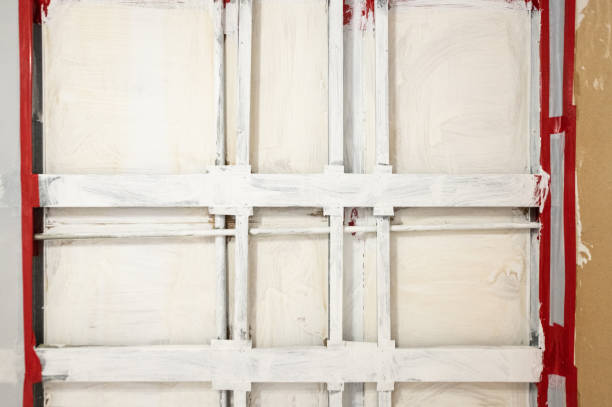 Best Forensic Mold Investigation  in Clute, TX