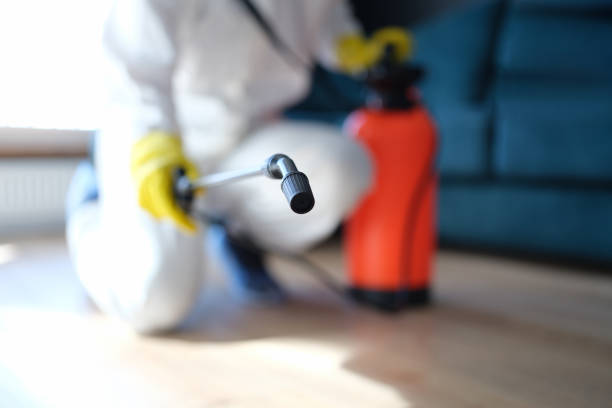 Best Post-Remediation Verification Testing  in Clute, TX