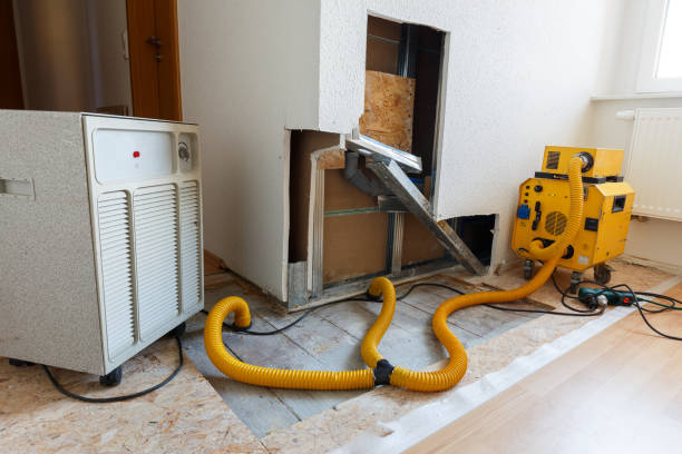 Best Mold Odor Removal Services  in Clute, TX